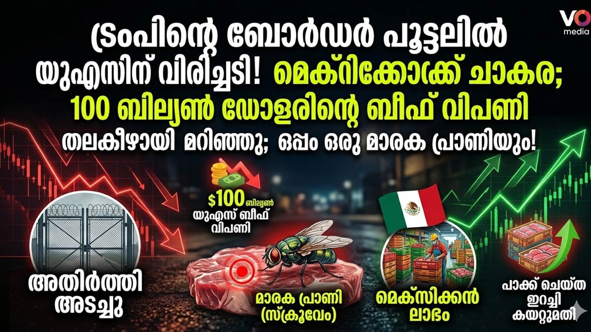 ട്രംപിന്റെ ബോർഡർ പൂട്ടലിൽ യുഎസിന് വൻ തിരിച്ചടി! മെക്സിക്കോയ്ക്ക് ചാകര; 100 ബില്യൺ ഡോളറിന്റെ ബീഫ് വിപണി തലകീഴായി മറിഞ്ഞു;